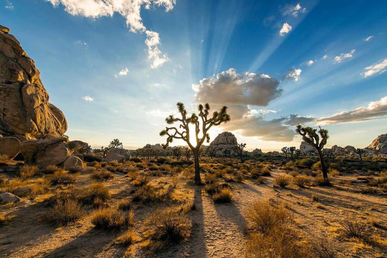 Skyhouse Βίλα Joshua Tree Εξωτερικό φωτογραφία