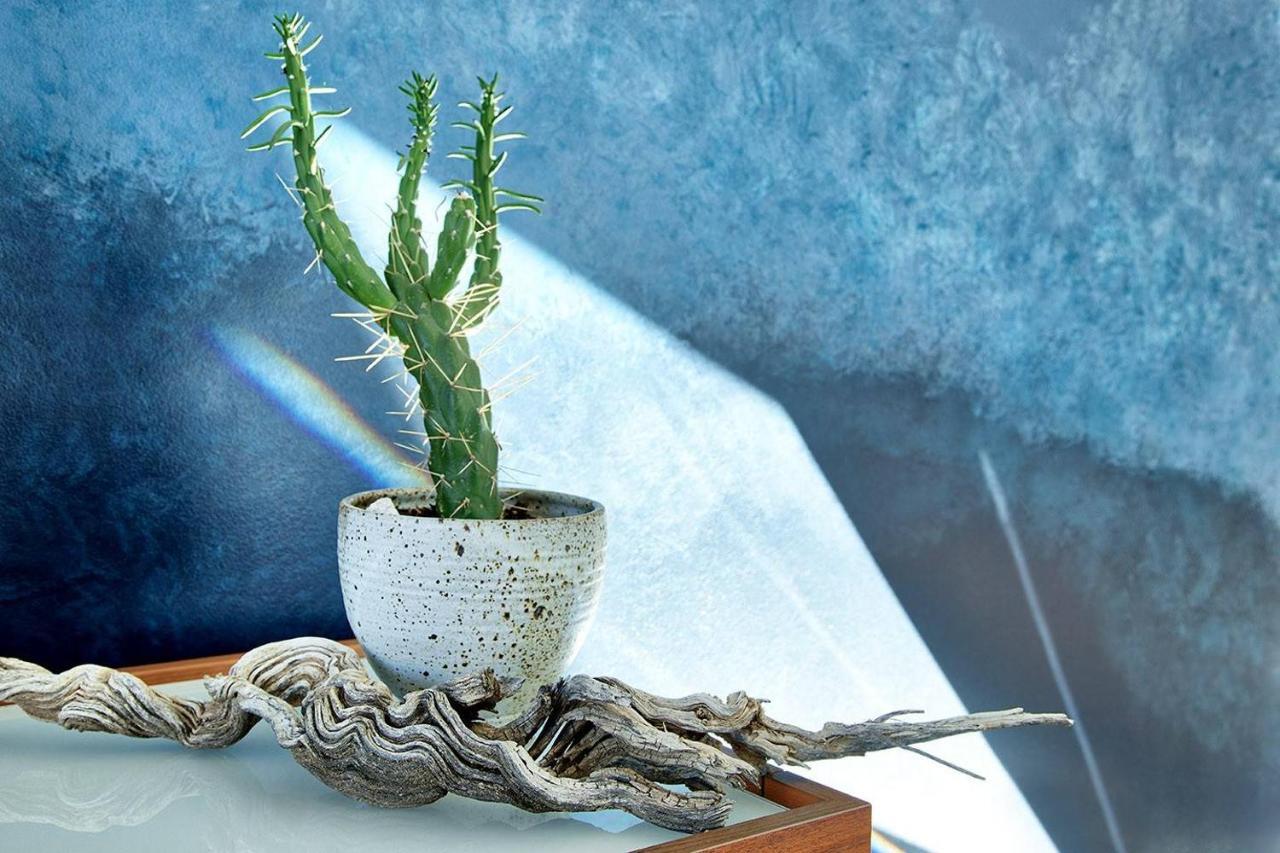 Skyhouse Βίλα Joshua Tree Εξωτερικό φωτογραφία